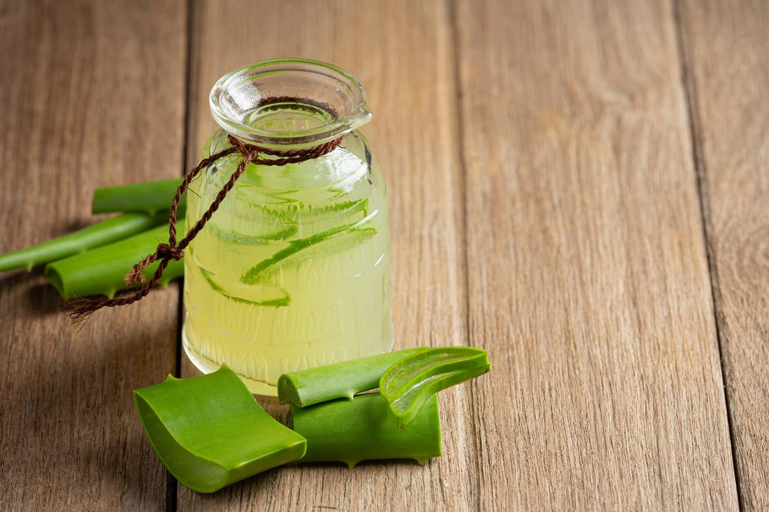 🌿 Aloe Vera: el aliado natural de tu piel y cabello este otoño | Aysa.es